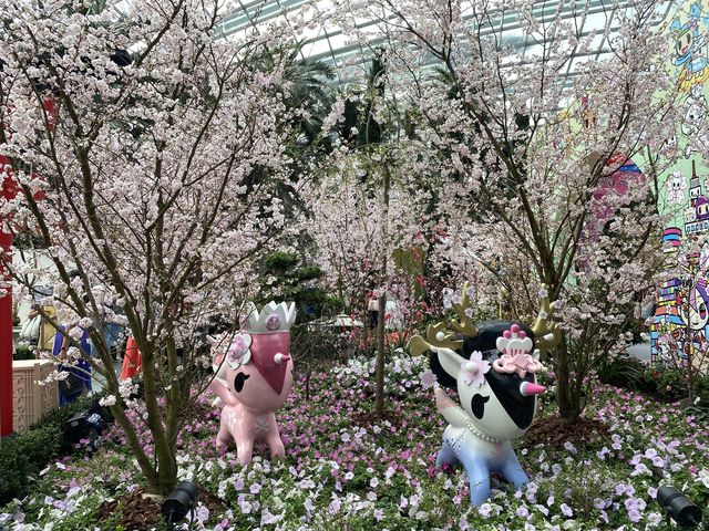 Sakura featuring Tokidoki!! 