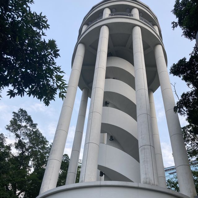 港島中的城市綠洲