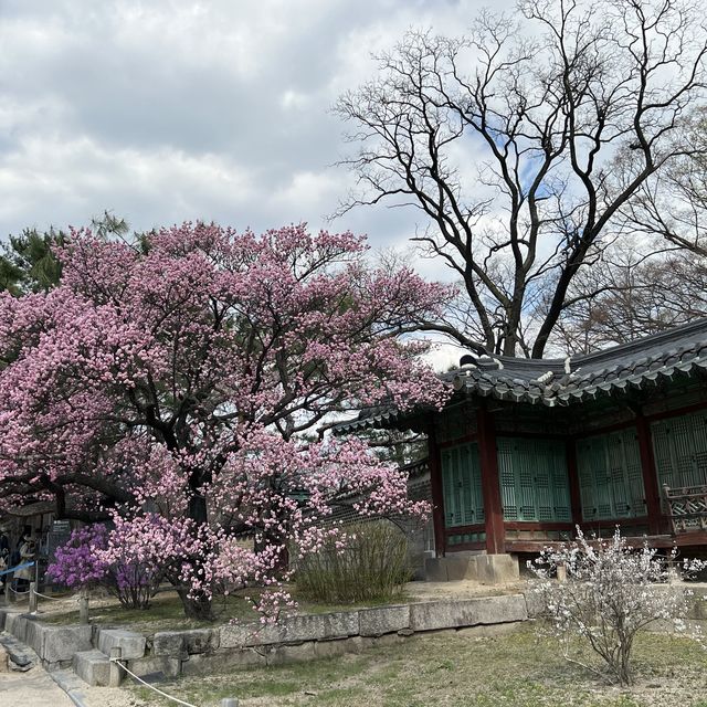 창덕궁