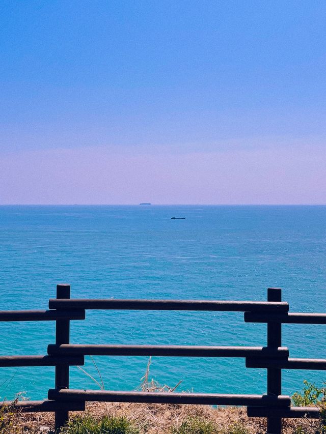 유채꽃이 가득한 부산 속 제주도 ‘오륙도 해맞이공원’🌼