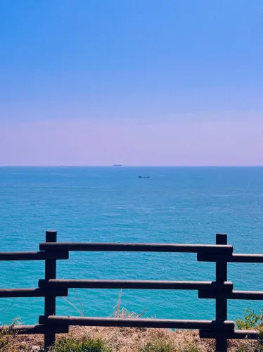 유채꽃이 가득한 부산 속 제주도 ‘오륙도 해맞이공원’🌼