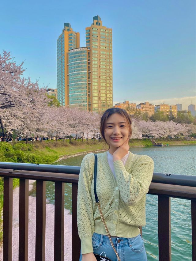 벚꽃 막차 탑승하세요!! 🌸석촌호수🌸