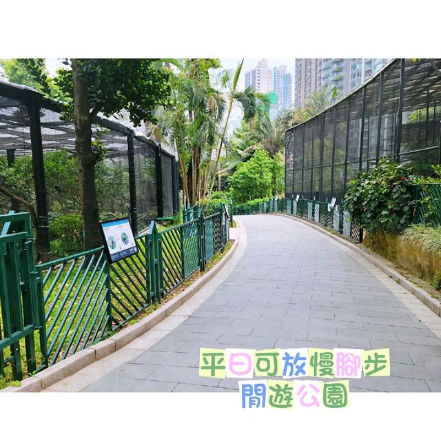 親親大自然