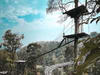 Pongyang Jungle Coaster Zipline Camp&Resort ⛰️⛰️