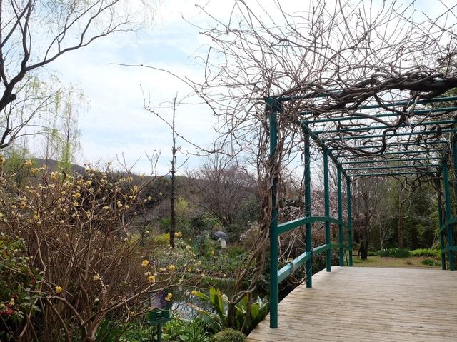 高知藝術遊之｜北川村莫內庭園