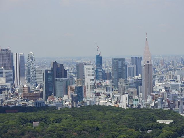 渋谷地上46階の景色