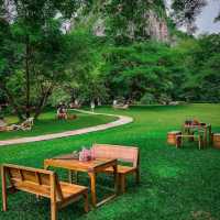 คาเฟ่ที่มีวิวสวนสวยๆ สีเขียวๆสลายตาสุดๆ