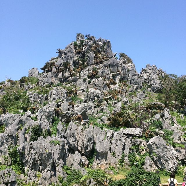 【沖縄中部~最北端】奇岩と水の絶景🪨🌊