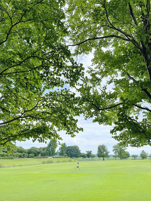 群馬＊群馬県立館林美術館