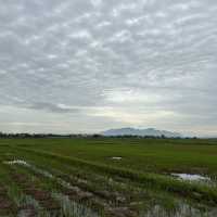Explore beyond Hoi An on motorbike