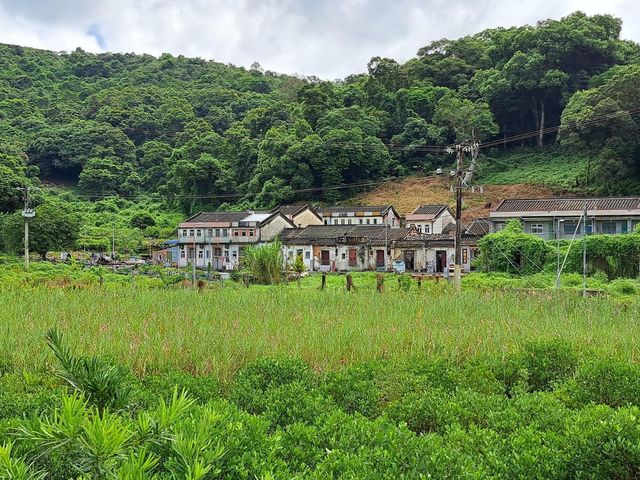 南涌郊遊