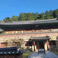단풍여행 동학사