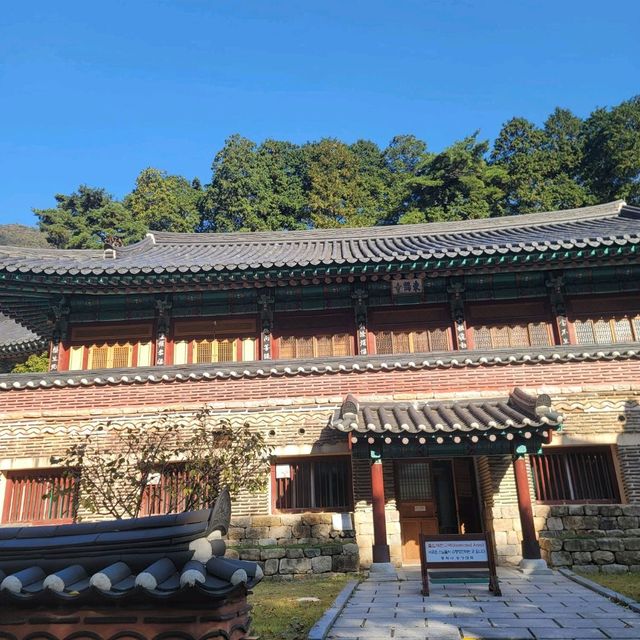 단풍여행 동학사