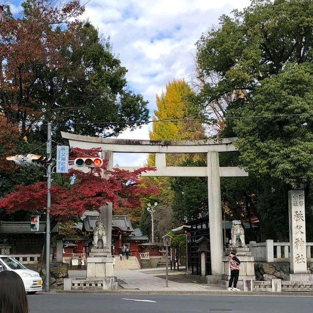 Beautiful Fall Foliage around Chichibu Shrine