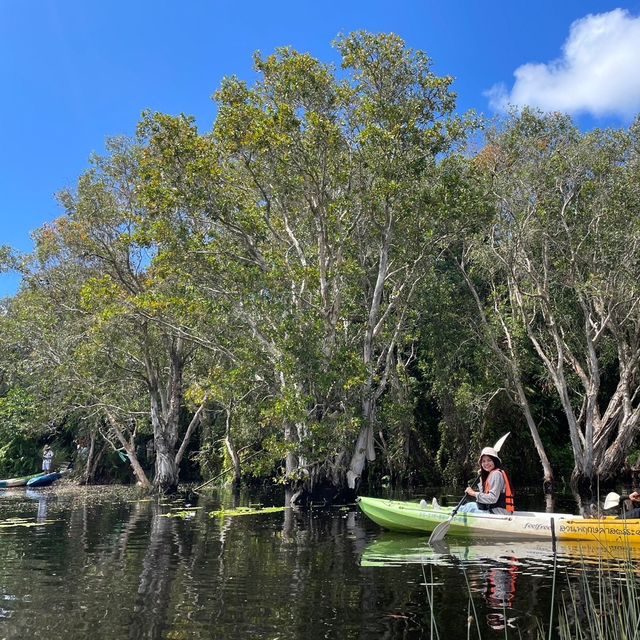  🚣‍♂️🌳🌿พายเรือชมป่าเสม็ด เช็คอินถิ่นระยอง🐠💦🏝