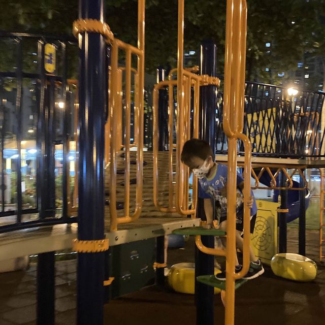 夜遊沙田交通安全公園