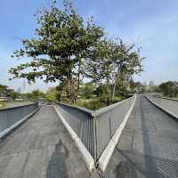 สวนเบญจกิติ และ Skywalk 