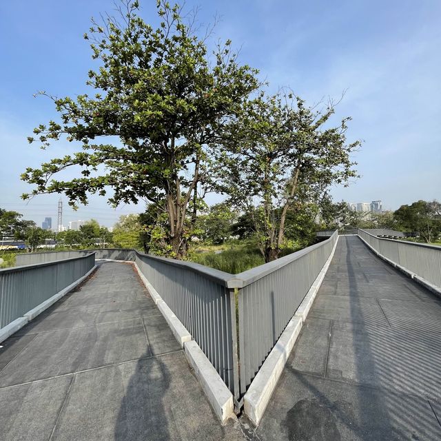 สวนเบญจกิติ และ Skywalk 