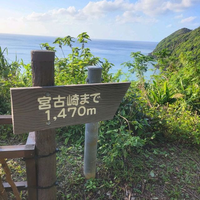 【奄美大島】宮古崎