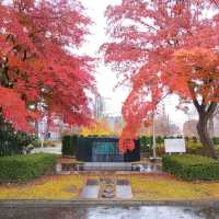 岩手県！歴史と文化とマンホールカード