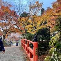 【京都】紅葉が美しい京都のパワースポット