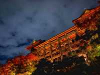 秋の京都。清水寺のライトアップ。『清水の舞台』
