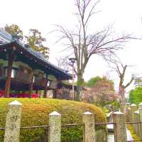 城南宮でおみくじを引く旅