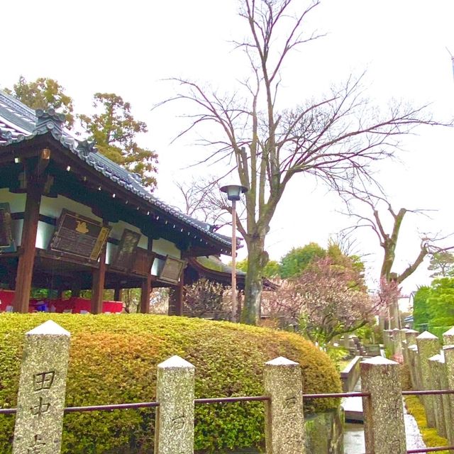 城南宮でおみくじを引く旅