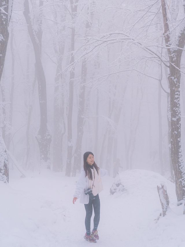 제주 눈 올때 갈만한 코스! 윗세오름 등반 ❄️