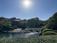 【島根】庭園がきれいな足立美術館