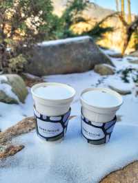 눈내린 가리왕산뷰의 매력을 눈앞에서! 정선 로쉬카페⛰️