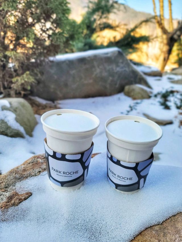 눈내린 가리왕산뷰의 매력을 눈앞에서! 정선 로쉬카페⛰️
