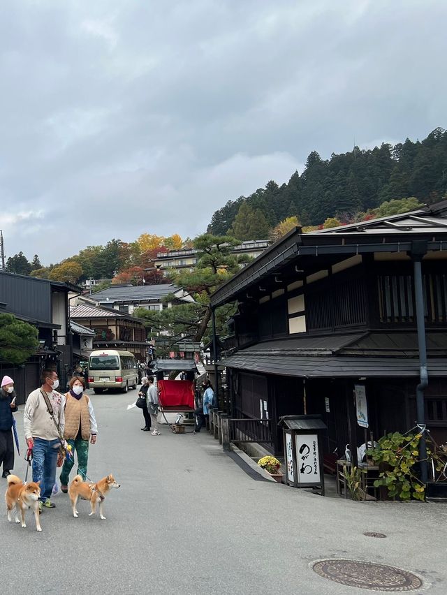 飛驒高山老街必食推介:元祖飛驒牛串燒