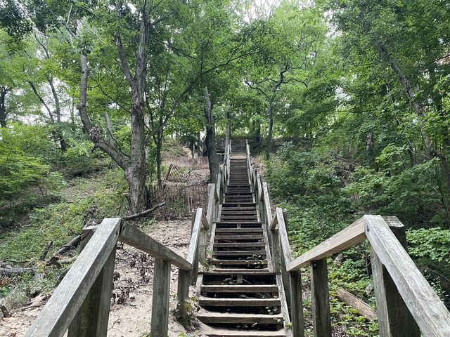 Trail 4 - Indiana Dunes State Park 