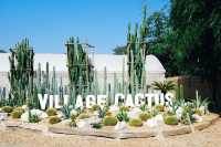 The Village Farm To Cafe' 