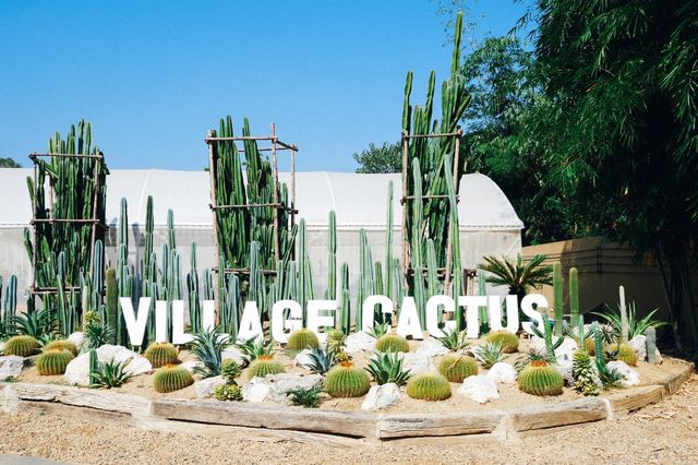 The Village Farm To Cafe' 