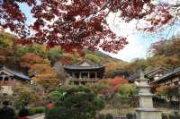 영주 부석사 아름다운 산사