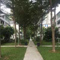 新加坡城市街景：日常生活