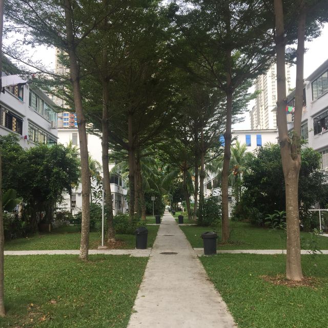 新加坡城市街景：日常生活