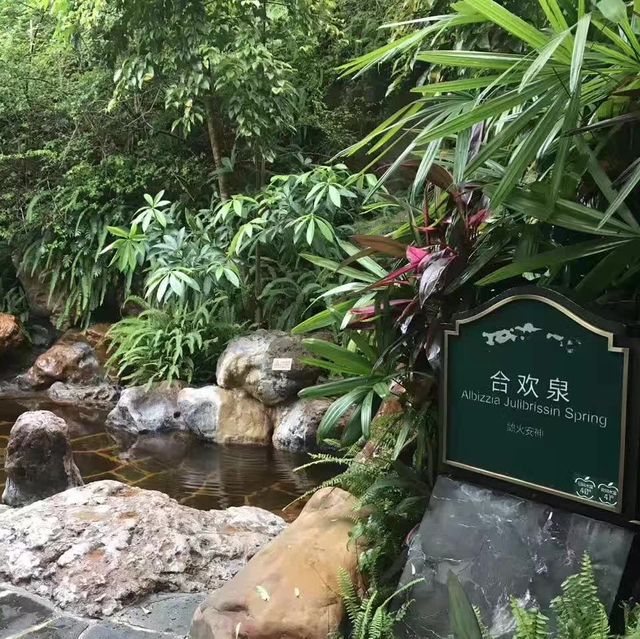 打卡廣州香江健康山谷酒店