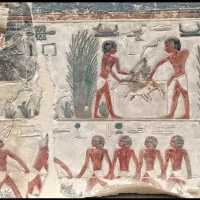 Neues Museum - Berlin 