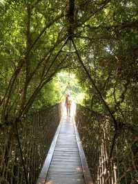 Yalong Bay Tropical Paradise Forest Park 