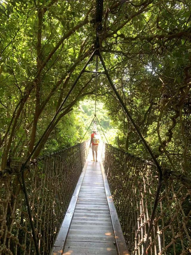 Yalong Bay Tropical Paradise Forest Park 