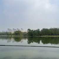 Shangxian river wetlands 