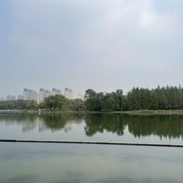 Shangxian river wetlands 