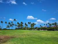 Oahu Island scenery