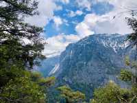 California | Yosemite National Park Photo Sharing 3