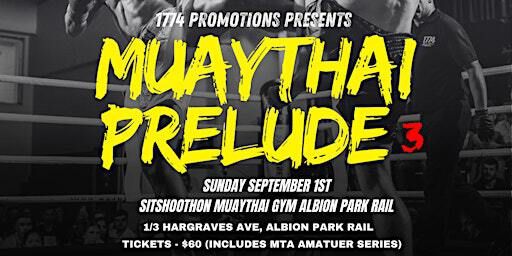 Muaythai Prelude 3 - Amateur and Professional Muaythai | Sitshoothon Muay Thai / Boxing Academy