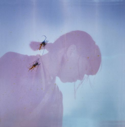 青葉市子のチケット(東京都・2024/10/26(土)) | 昭和女子大学 人見記念講堂