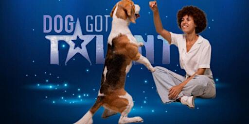 Dog got Talent Dogdance training | Arnhem